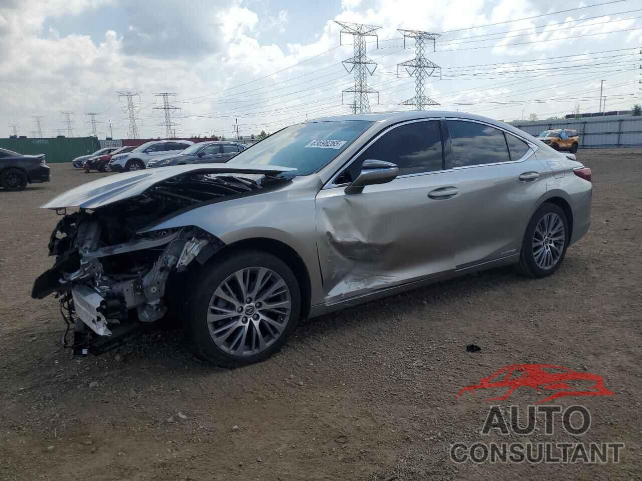 LEXUS ES300 2020 - 58AD21B12LU006620