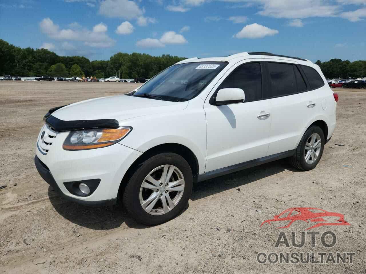 HYUNDAI SANTA FE 2010 - 5NMSK4AG8AH385671