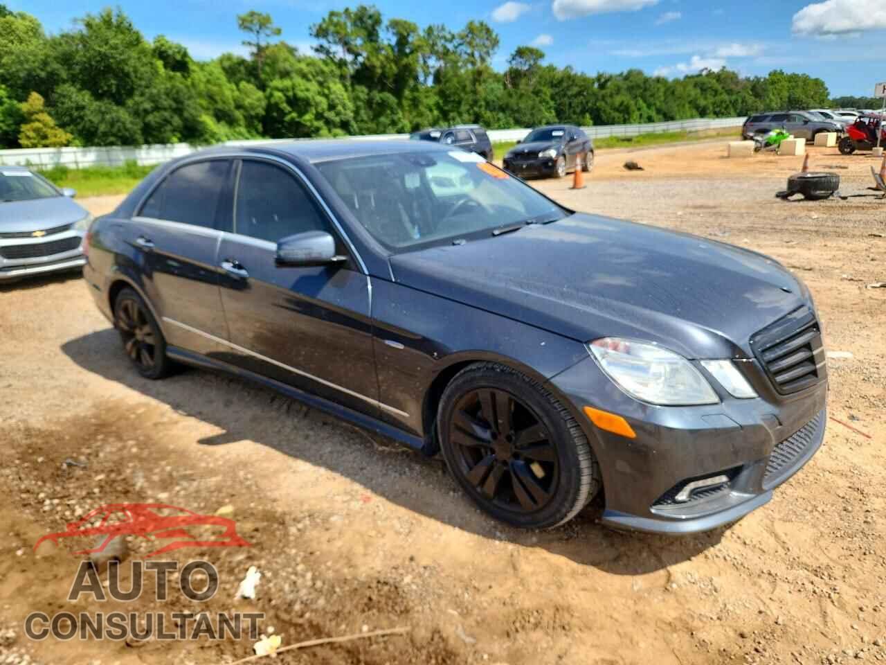 MERCEDES-BENZ E-CLASS 2011 - WDDHF2EB4BA374489