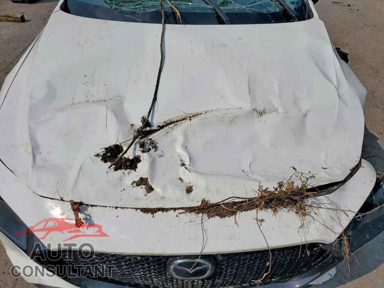 MAZDA 3 2021 - JM1BPBML9M1343121