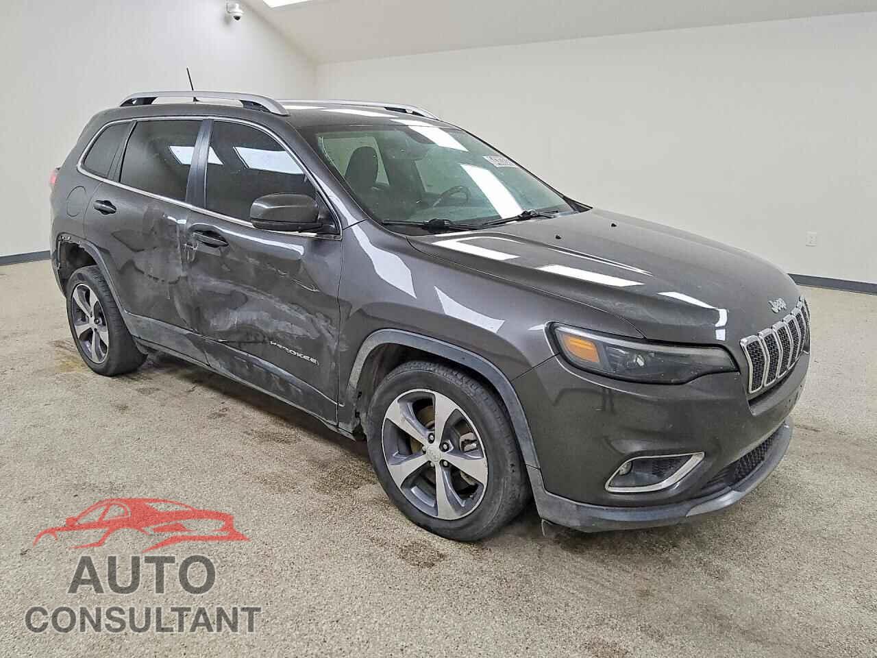 JEEP CHEROKEE 2019 - 1C4PJLDB2KD207865
