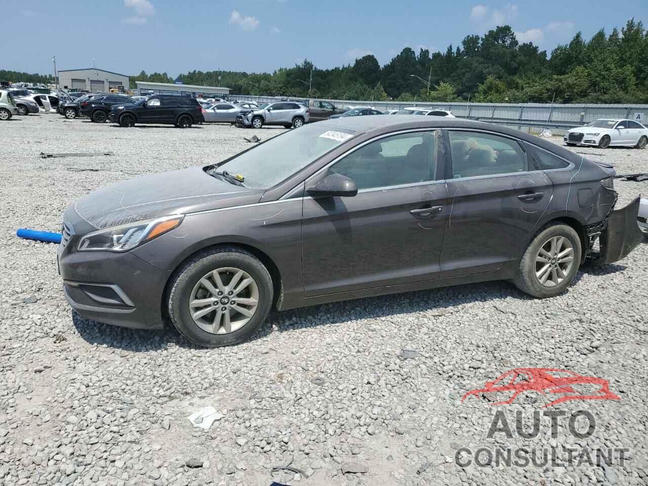 HYUNDAI SONATA 2016 - 5NPE24AF7GH339460