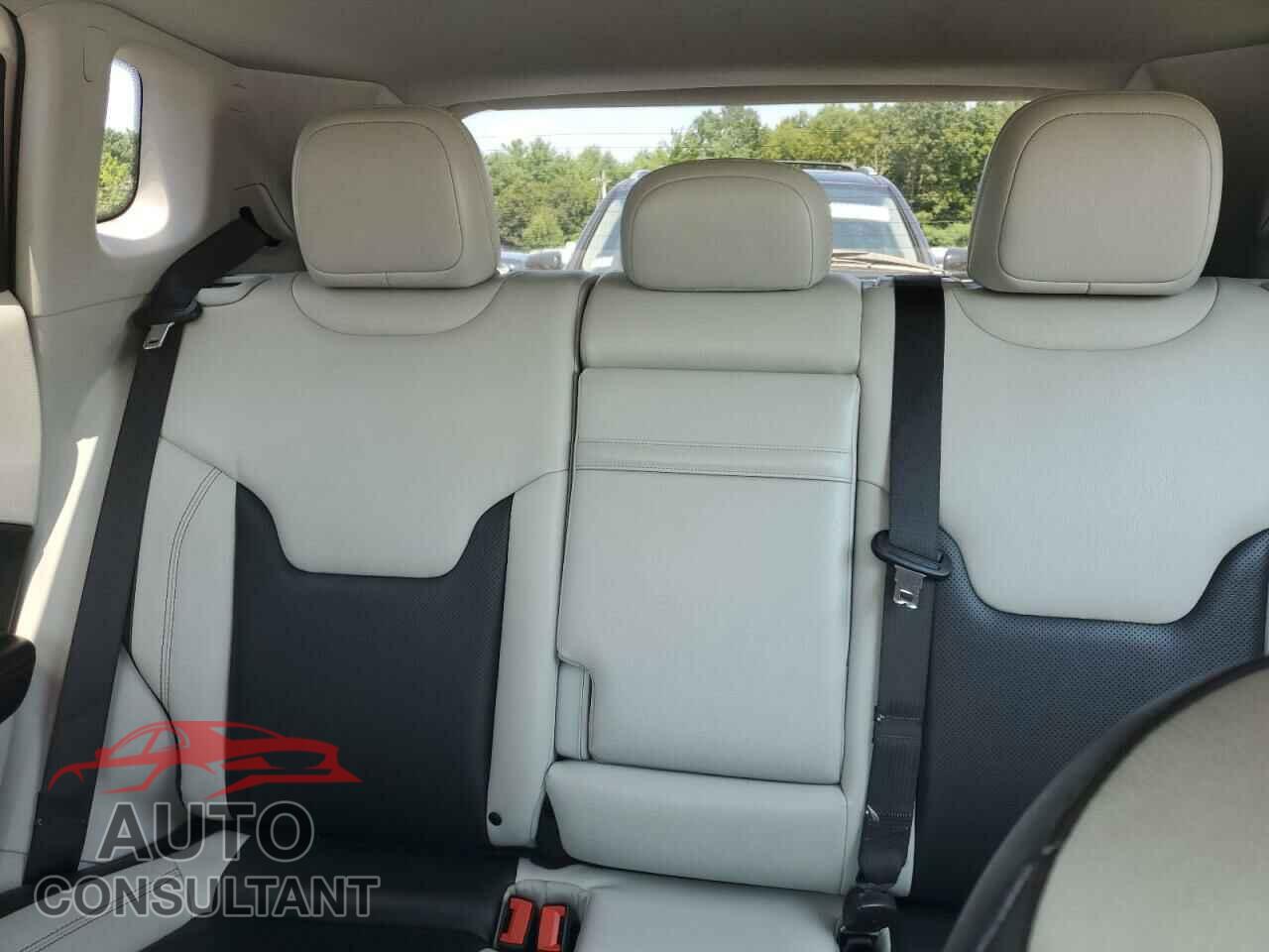 JEEP COMPASS 2020 - 3C4NJCCBXLT110384