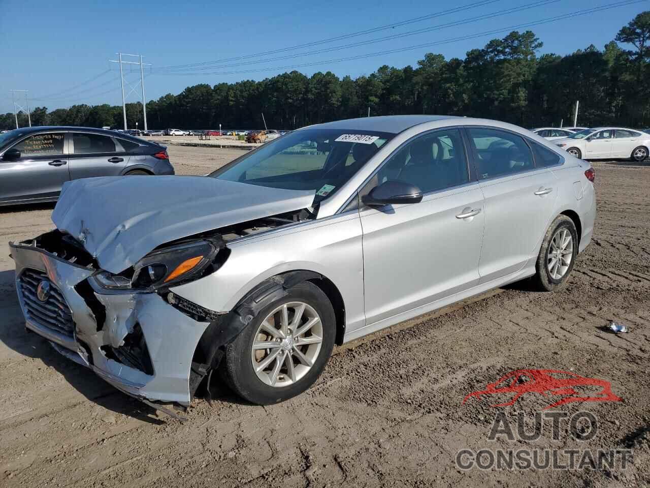 HYUNDAI SONATA 2019 - 5NPE24AF7KH773578