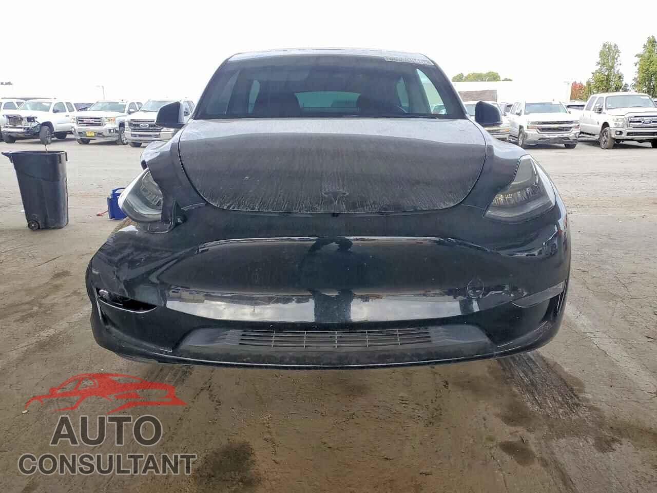 TESLA MODEL Y 2023 - 7SAYGDEE4PA136184