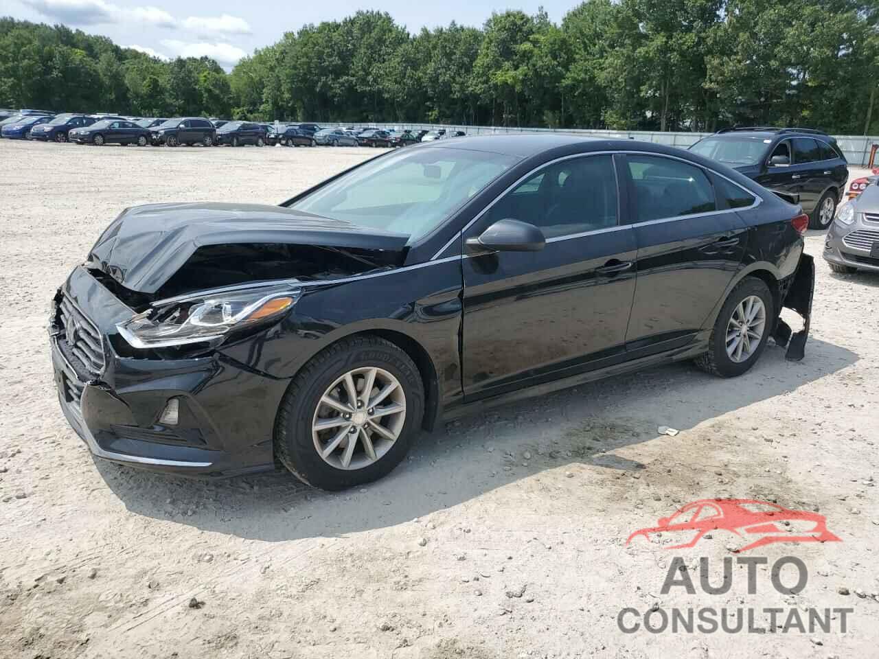 HYUNDAI SONATA 2018 - 5NPE24AF0JH706092