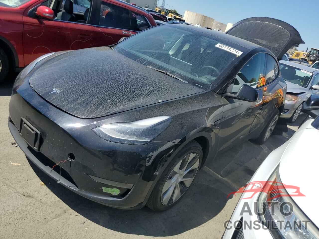 TESLA MODEL Y 2023 - 7SAYGAEE7PF621369