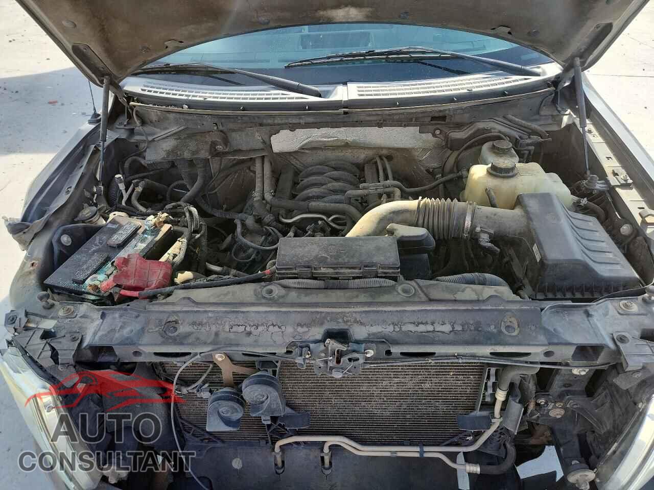 FORD F150 2012 - 1FTFX1EF0CFC82294