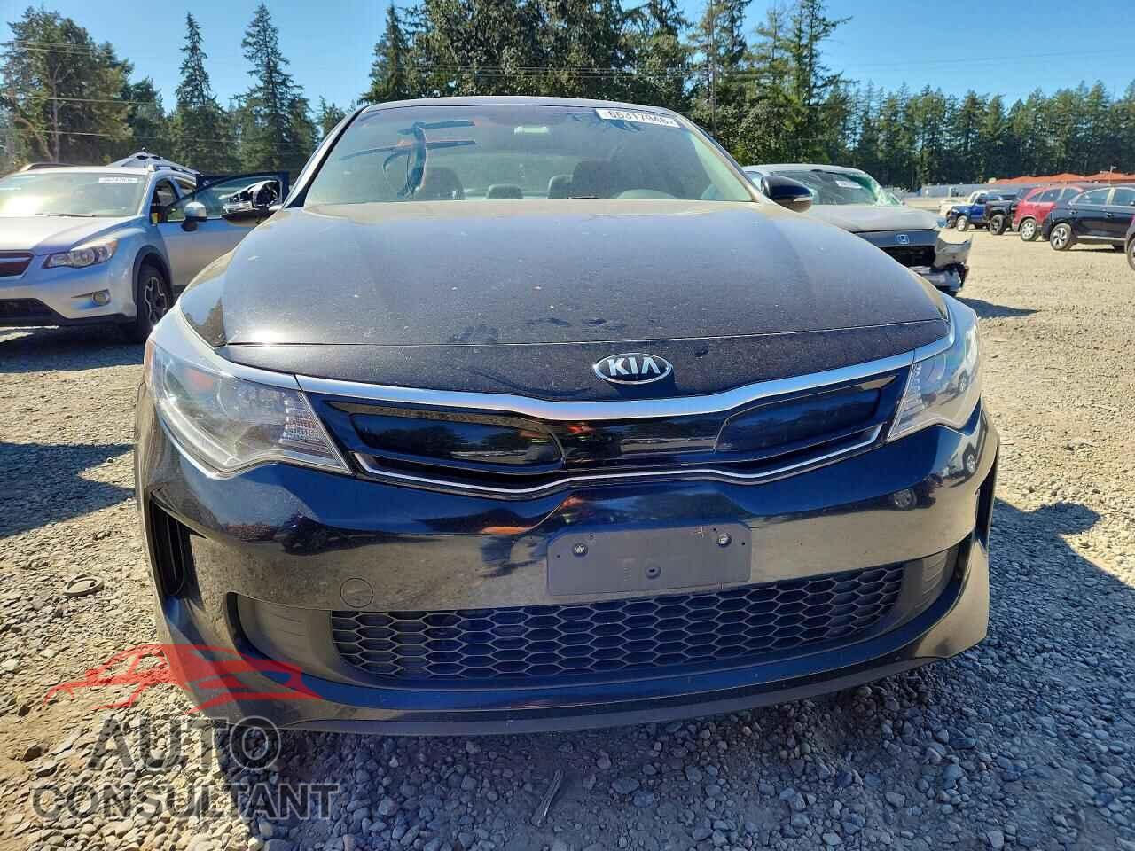 KIA OPTIMA 2017 - KNAGU4LE4H5010298