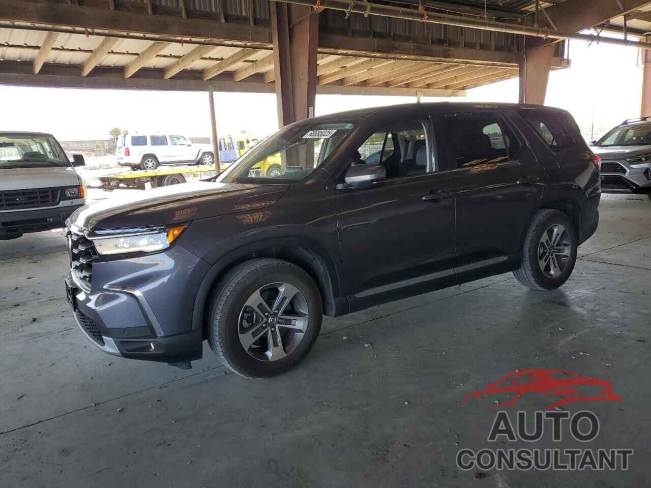 HONDA PILOT 2024 - 5FNYG1H49RB041110