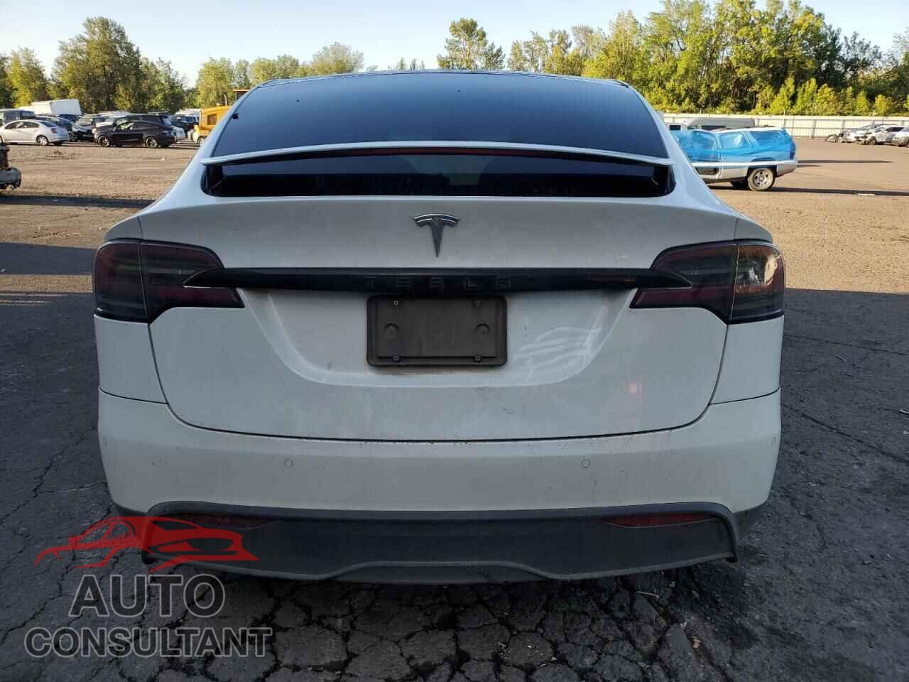 TESLA MODEL X 2023 - 7SAXCDE5XPF381081