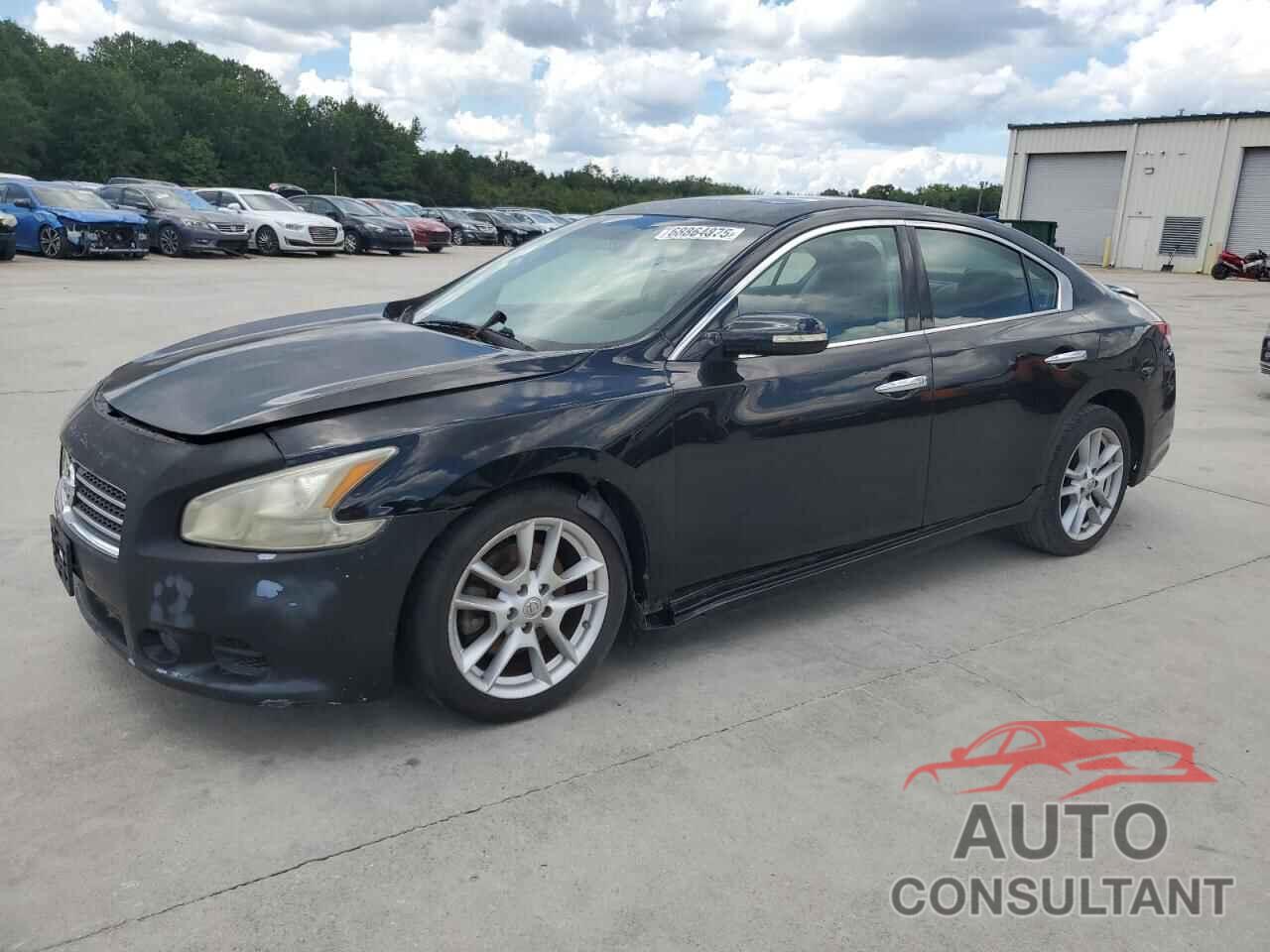 NISSAN MAXIMA 2009 - 1N4AA51EX9C858943