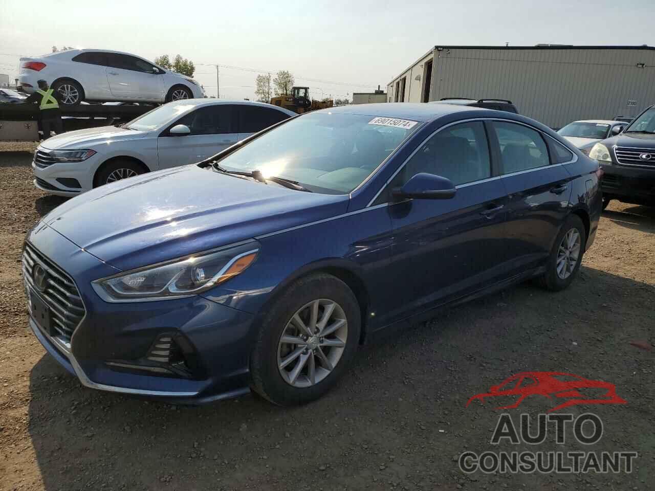 HYUNDAI SONATA 2019 - 5NPE24AF1KH790912