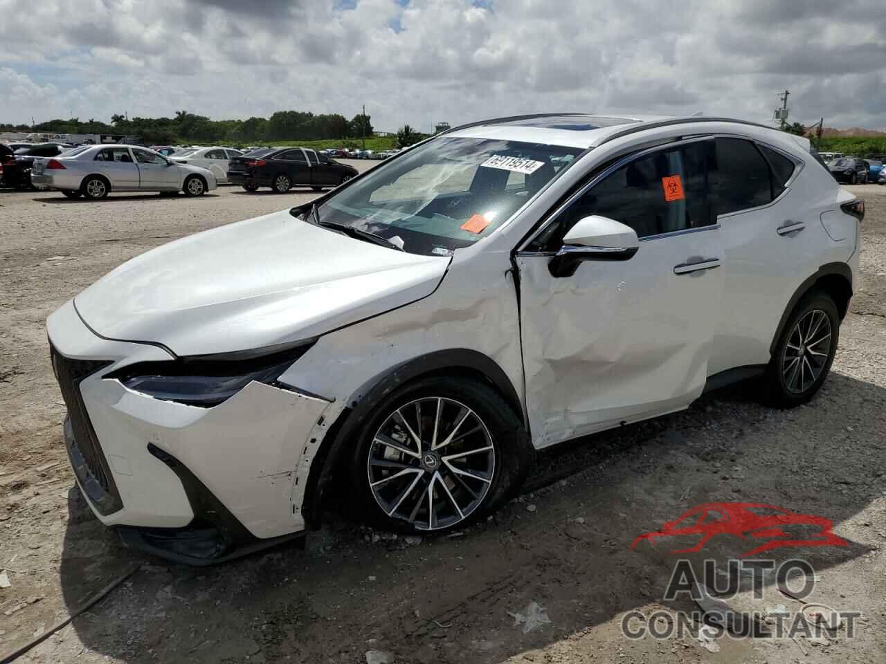 LEXUS NX 250 PRE 2024 - 2T2GDCAZ0RC010043