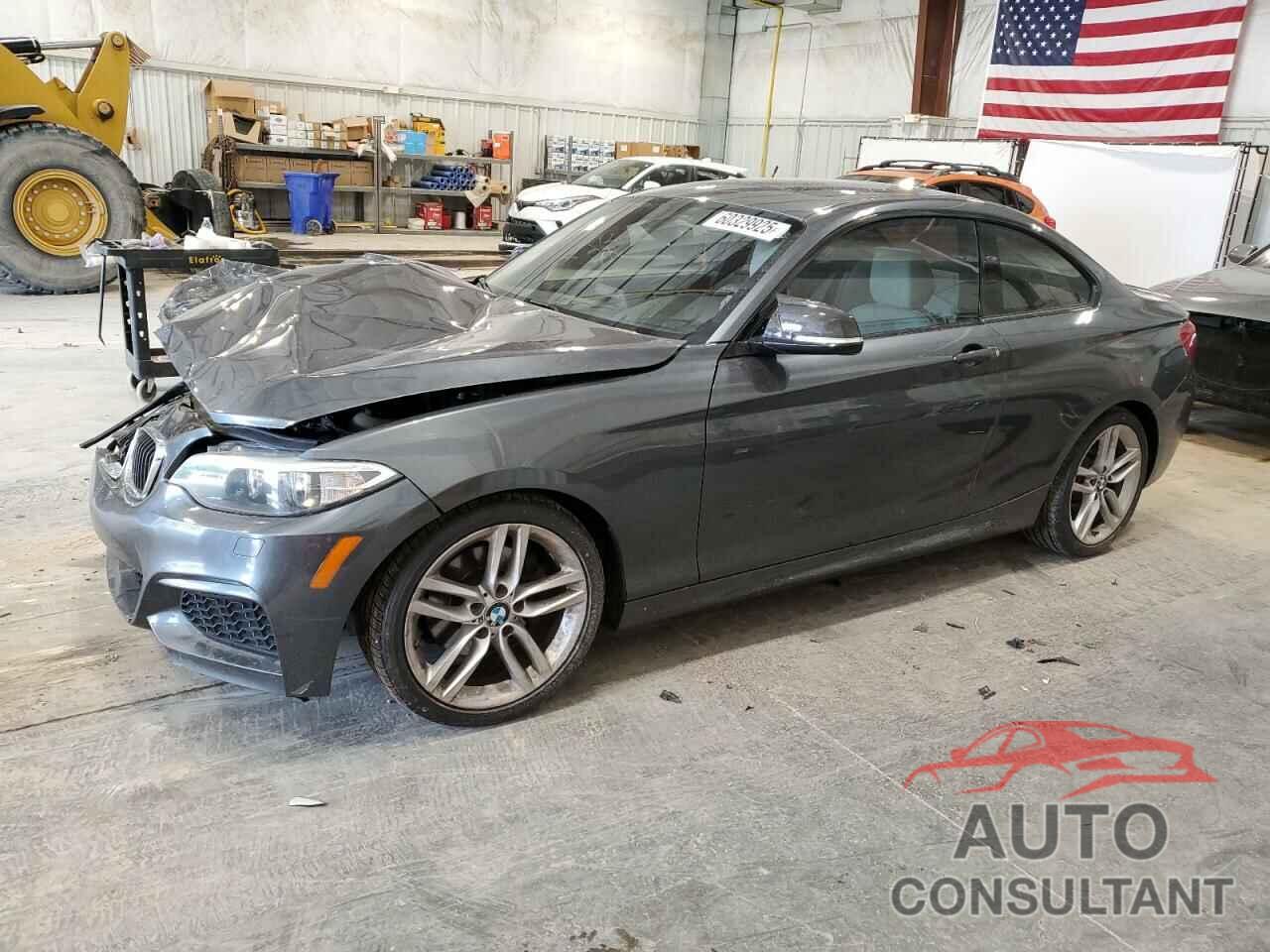 BMW 2 SERIES 2015 - WBA1F5C59FV343633