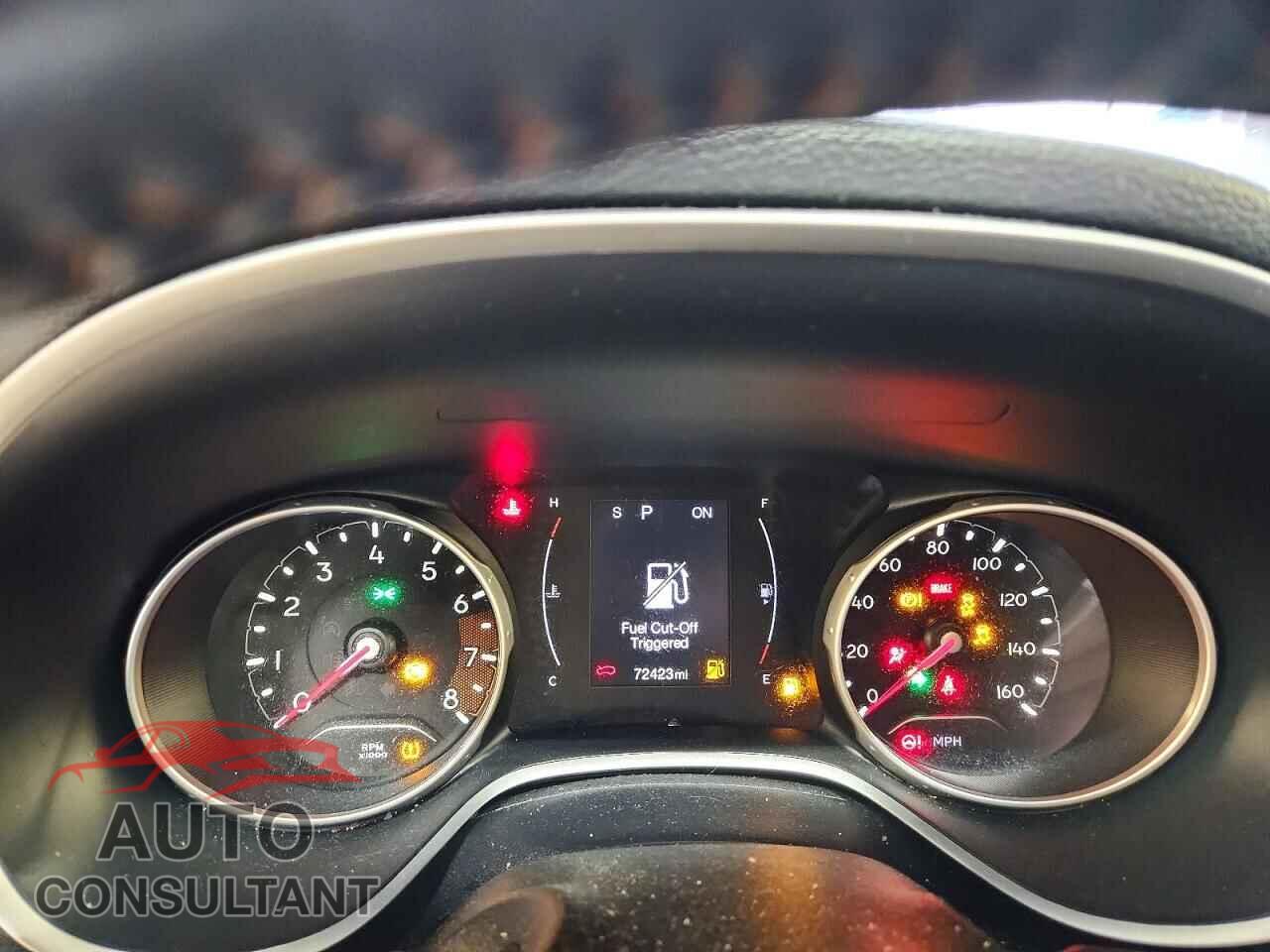 JEEP COMPASS 2020 - 3C4NJDBBXLT129928