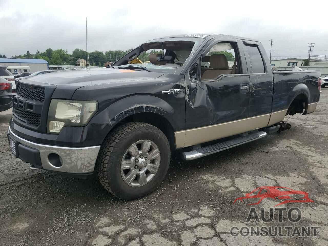 FORD F-150 2009 - 1FTRX14819KB81135