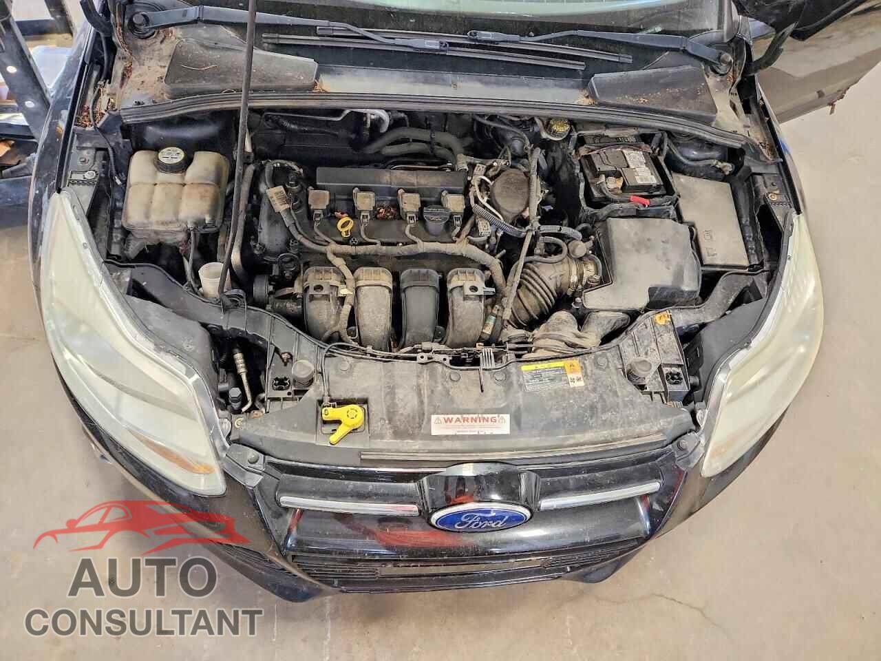 FORD FOCUS 2012 - 1FAHP3F2XCL118414