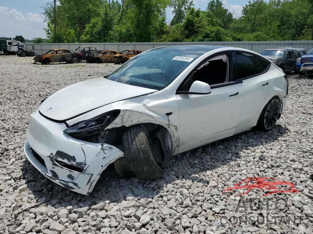 TESLA MODEL Y 2022 - 7SAYGDEF1NF399659