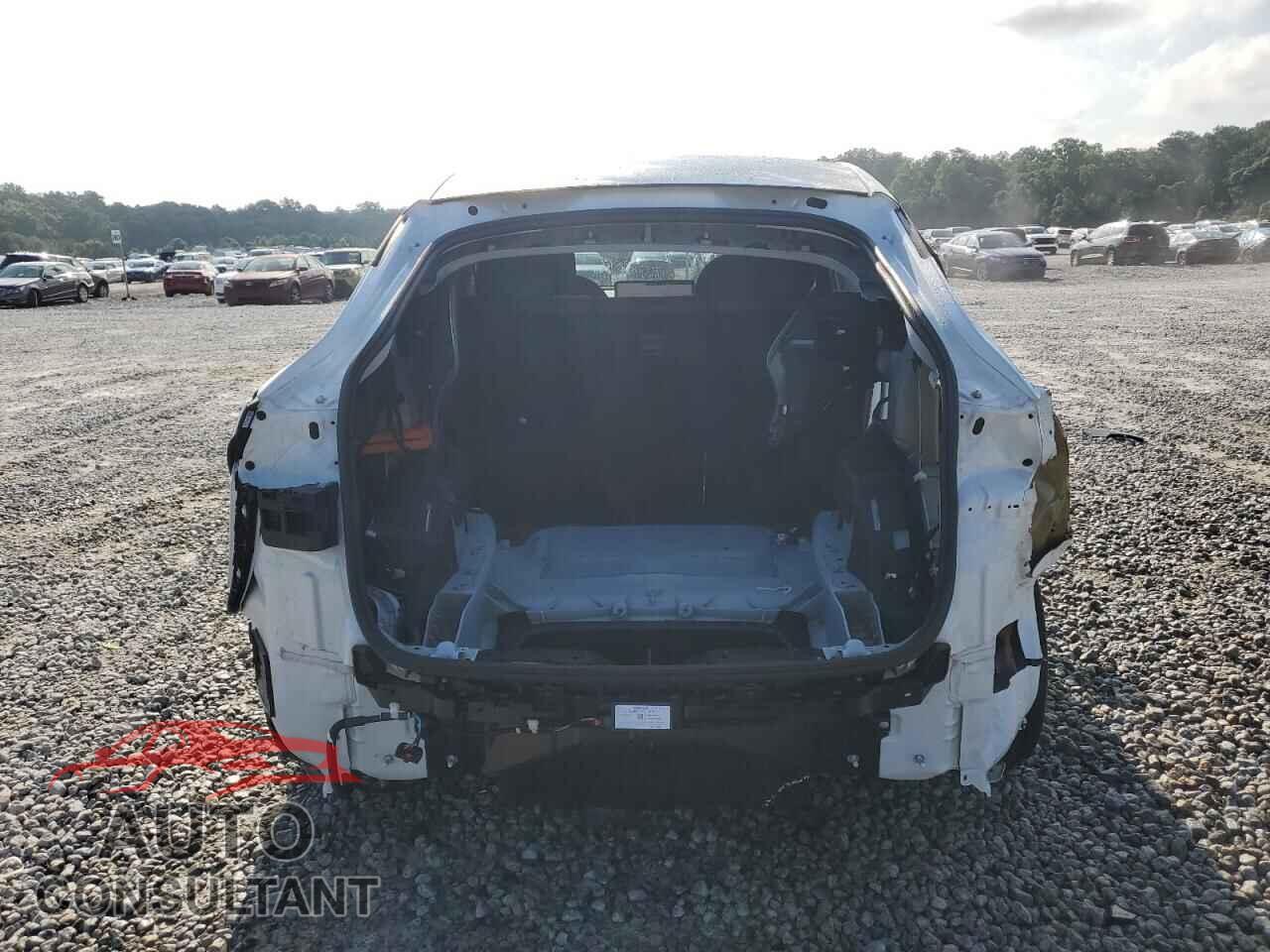 TESLA MODEL Y 2024 - 7SAYGAEEXRF005653