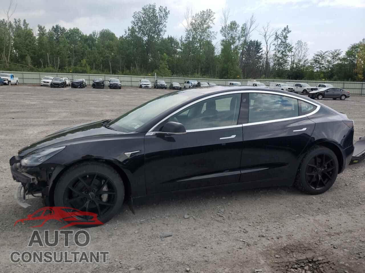 TESLA MODEL 3 2019 - 5YJ3E1EA8KF306177
