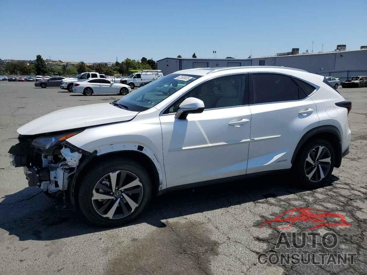 LEXUS NX 2021 - JTJGJRDZ8M5012895