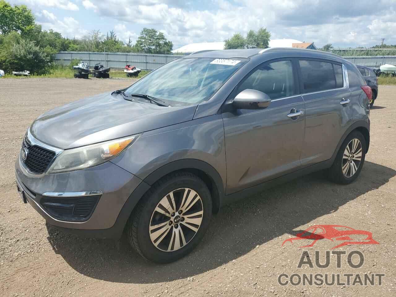 KIA SPORTAGE 2016 - KNDPCCAC2G7869250