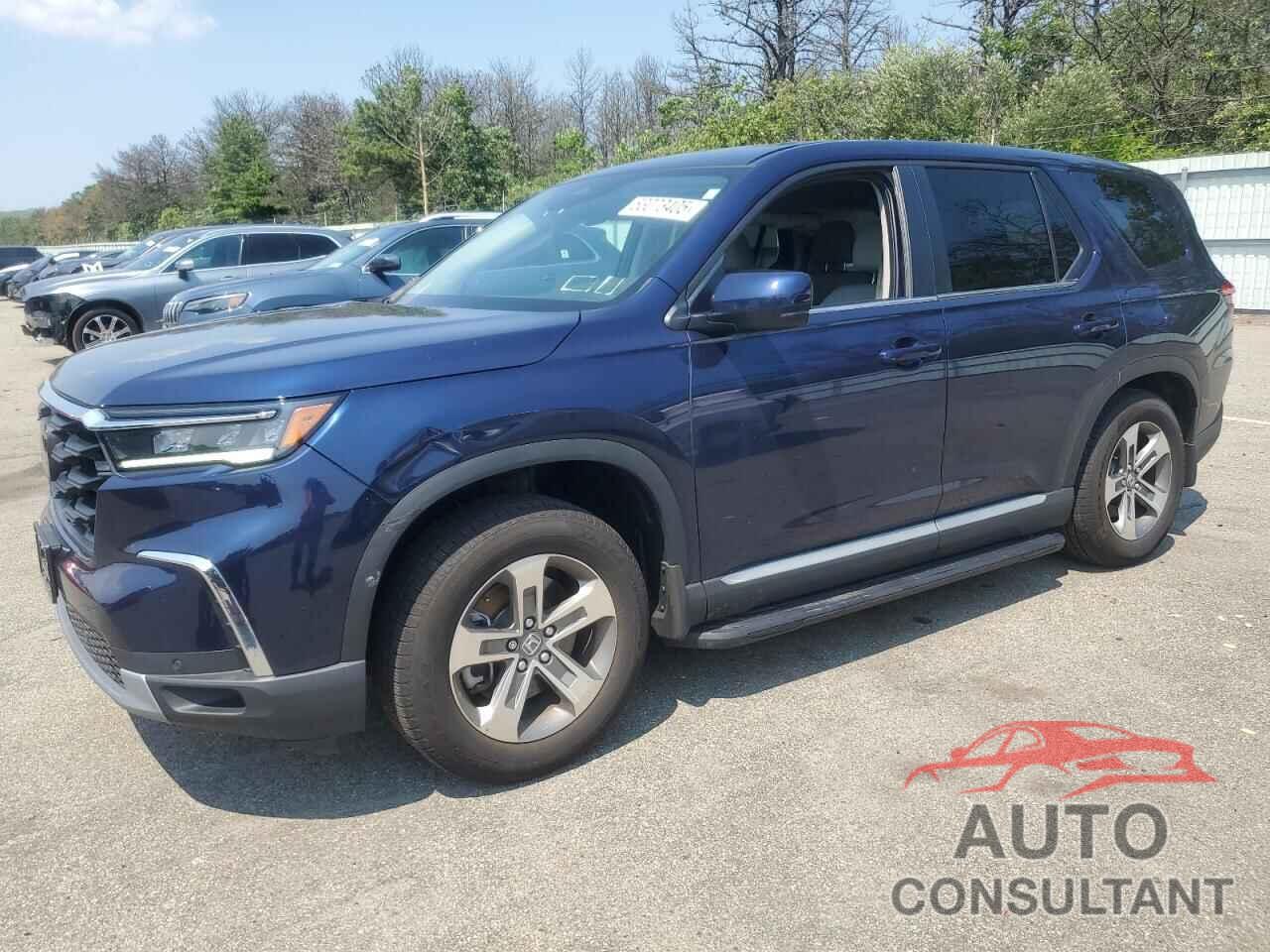 HONDA PILOT 2024 - 5FNYG1H41RB047807
