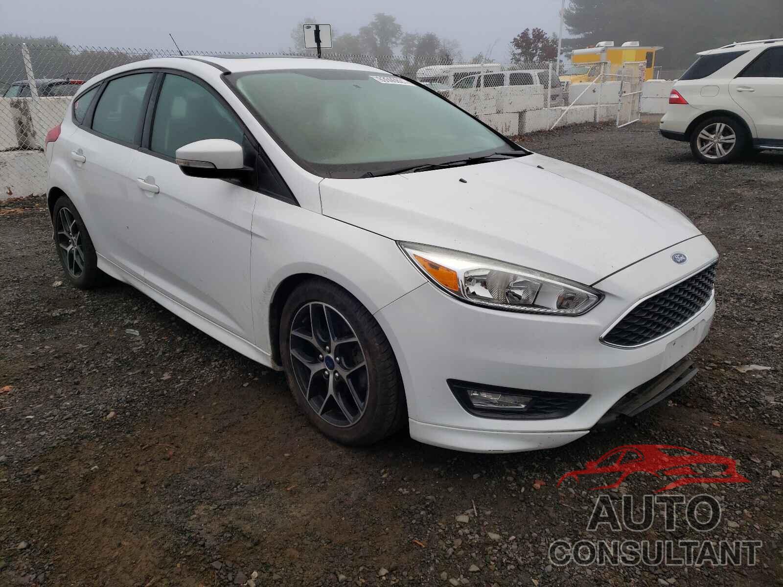 FORD FOCUS 2016 - 1FADP3K29GL384789