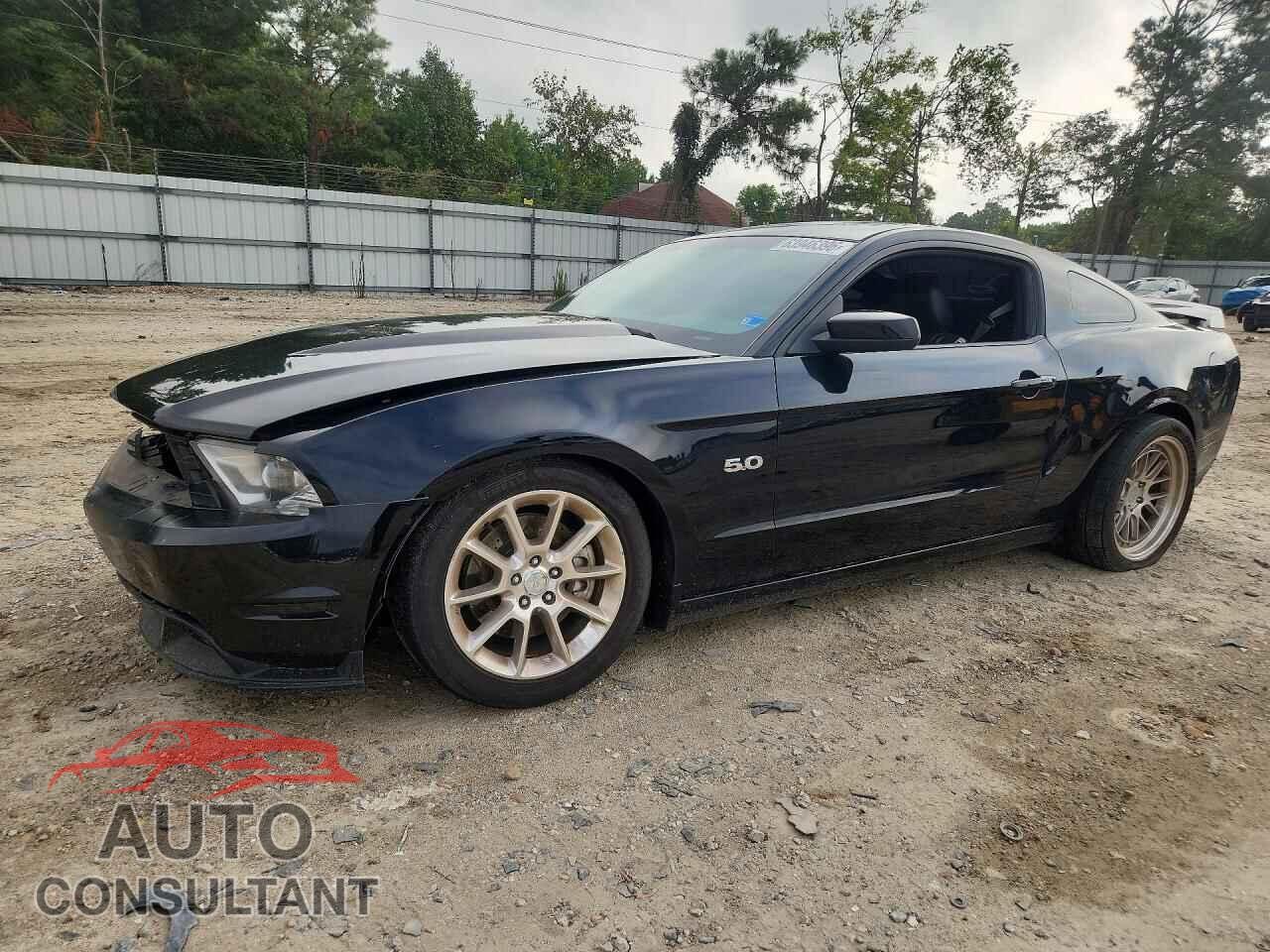 FORD MUSTANG 2011 - 1ZVBP8CF3B5149296