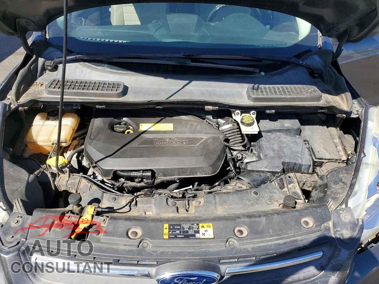 FORD ESCAPE 2015 - 1FMCU0GX5FUC66079