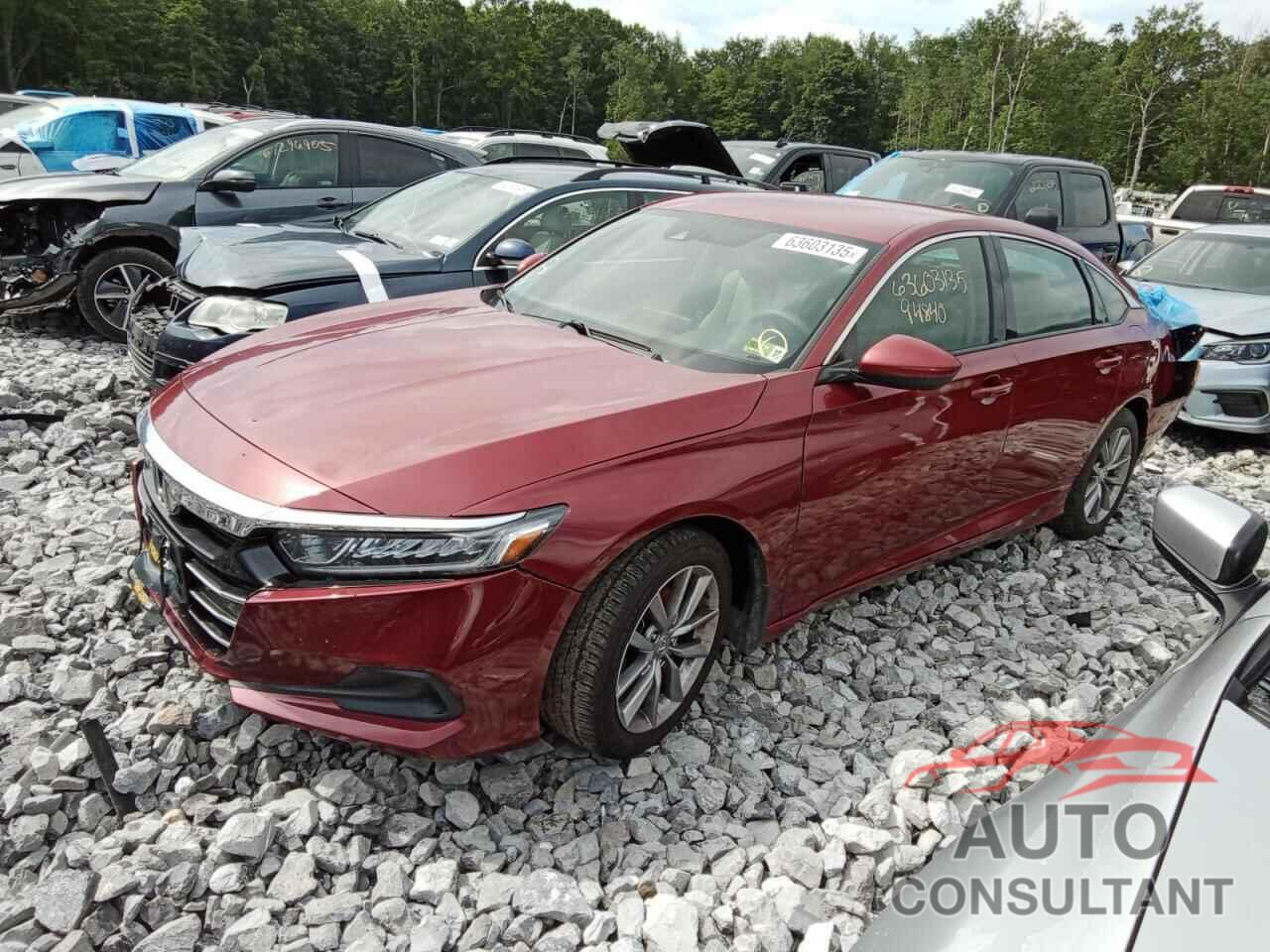 HONDA ACCORD 2021 - 1HGCV1F1XMA030953