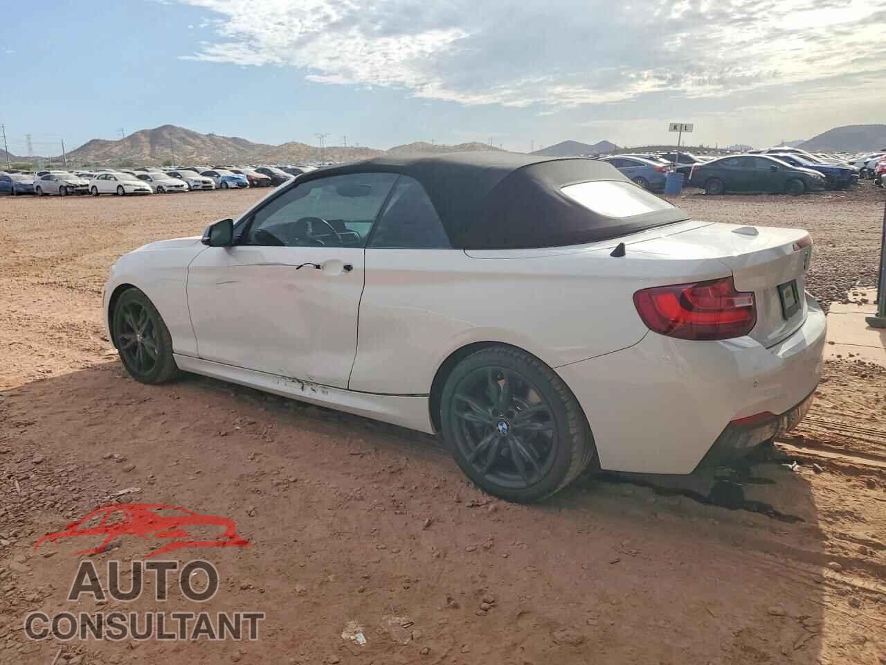 BMW M2 2017 - WBA2L1C32HV666865