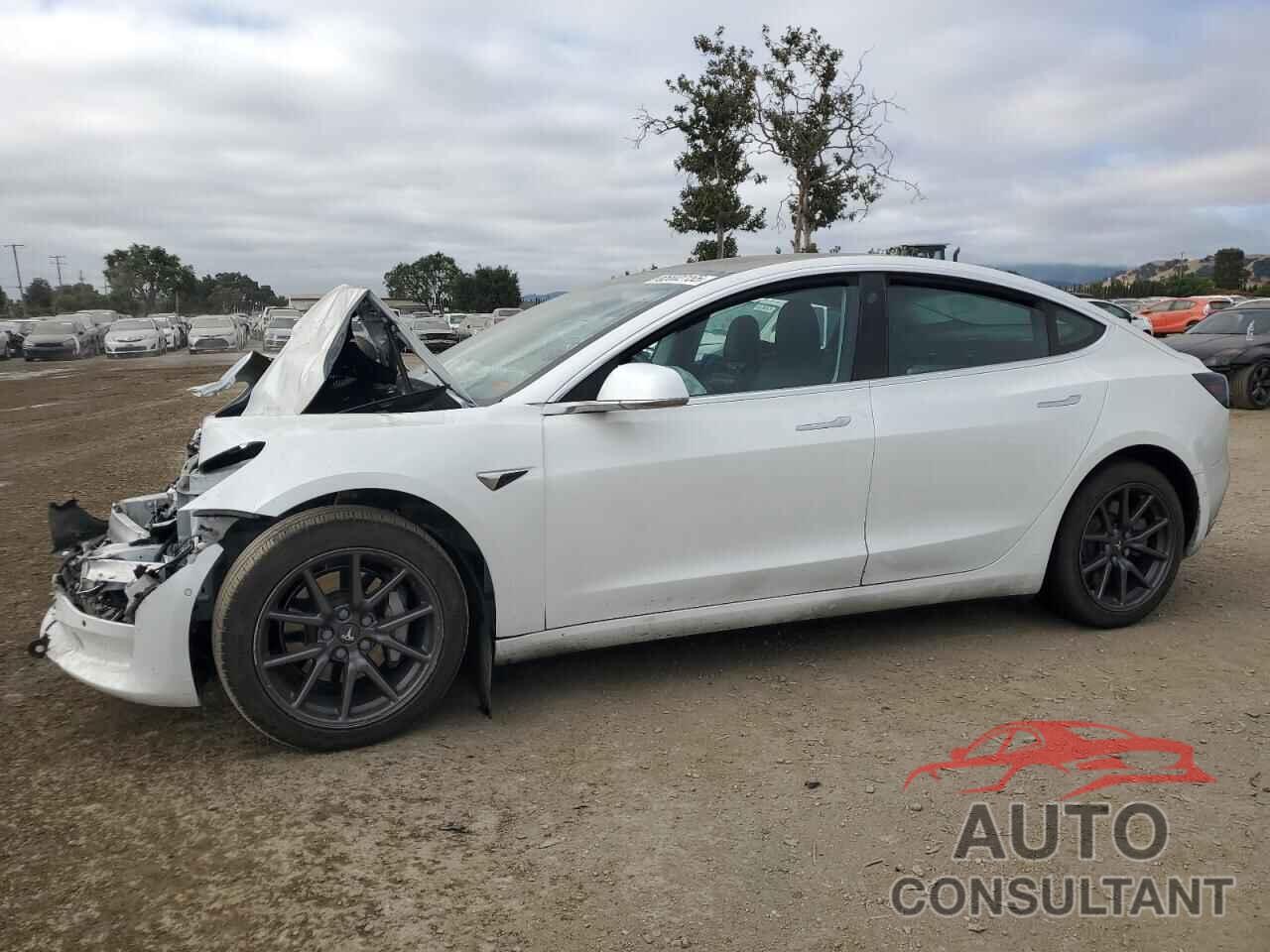 TESLA MODEL 3 2019 - 5YJ3E1EB6KF511425