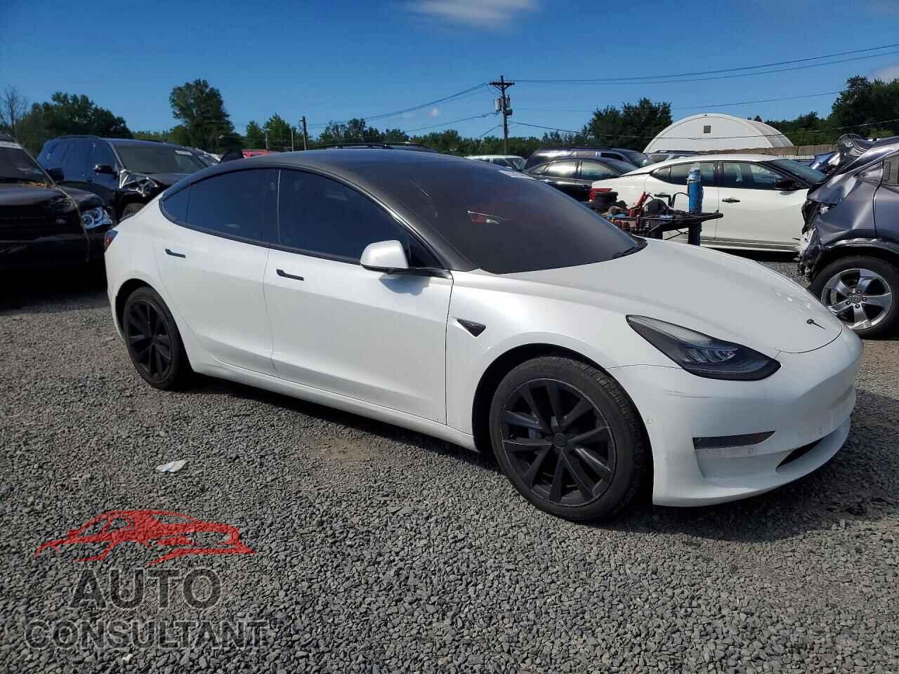 TESLA MODEL 3 2019 - 5YJ3E1EB2KF510613