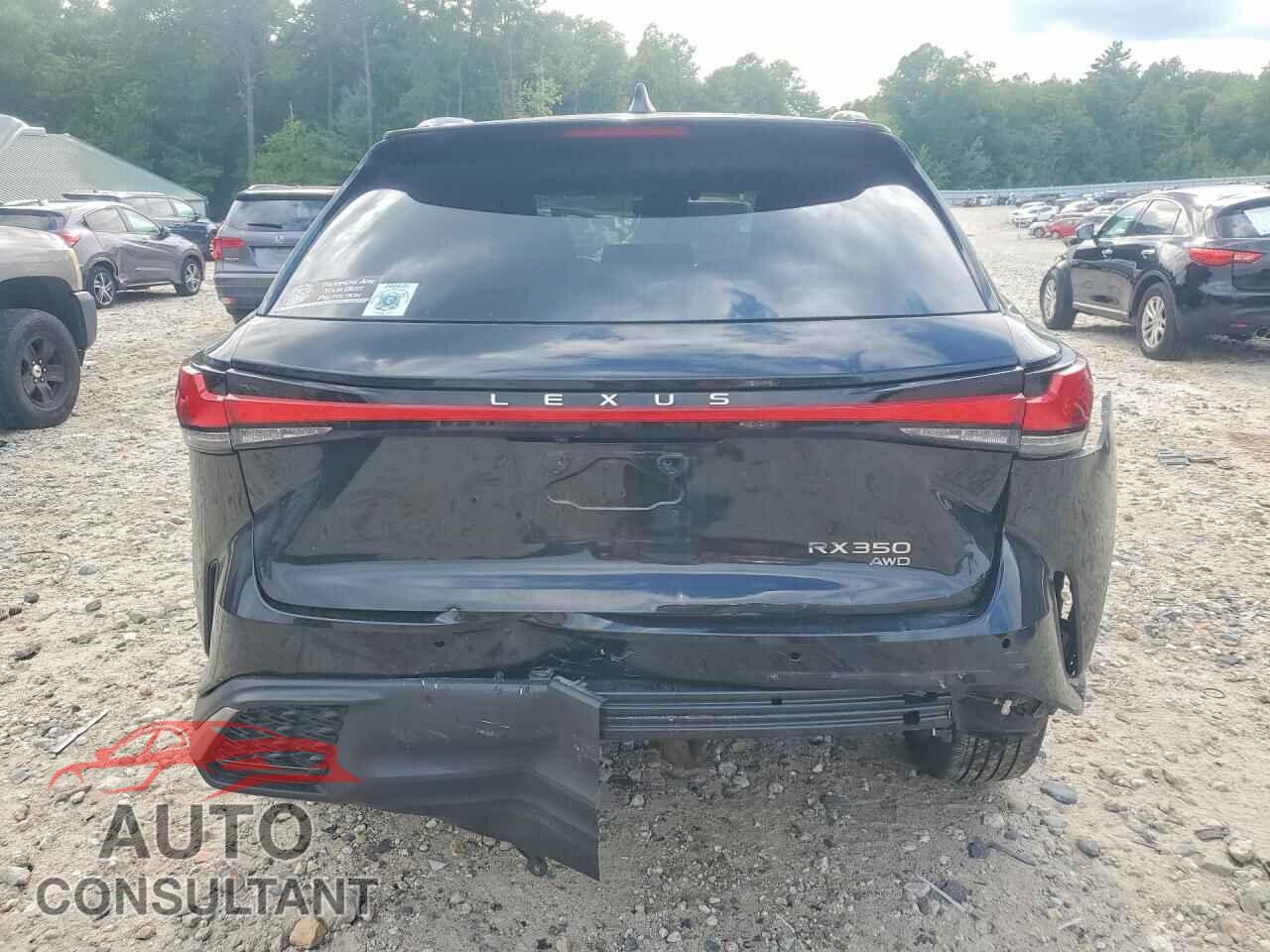 LEXUS RX350 2024 - 2T2BAMCA3RC060290