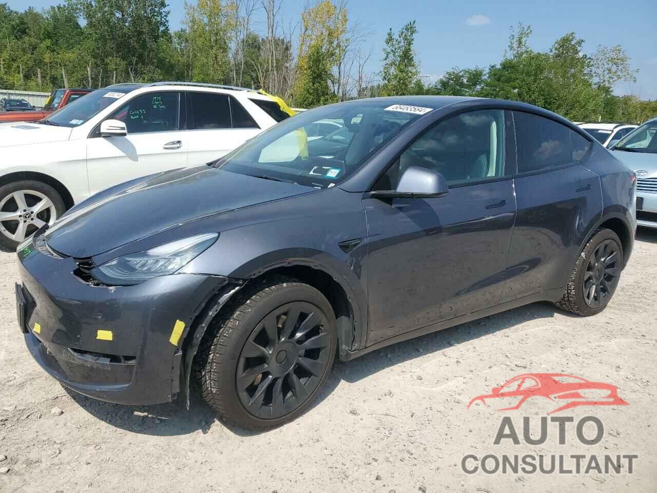 TESLA MODEL Y 2022 - 7SAYGDEE9NF481193