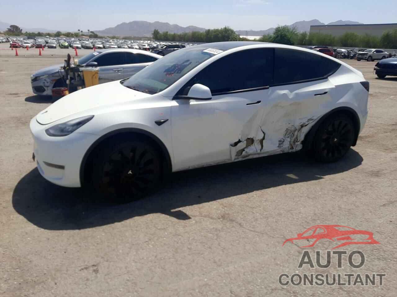 TESLA MODEL Y 2021 - 5YJYGAEE5MF217866