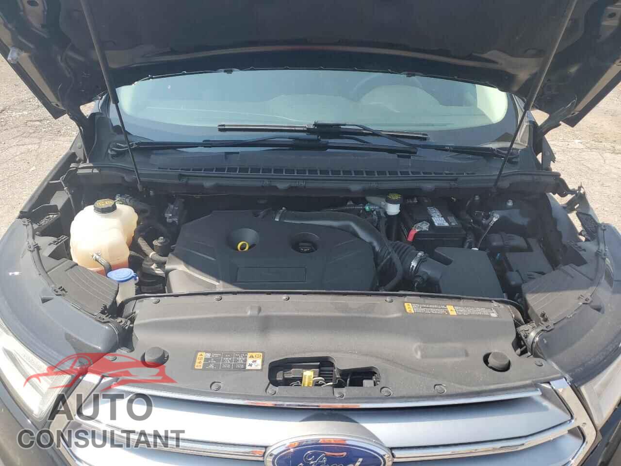 FORD EDGE 2018 - 2FMPK3G95JBC20065