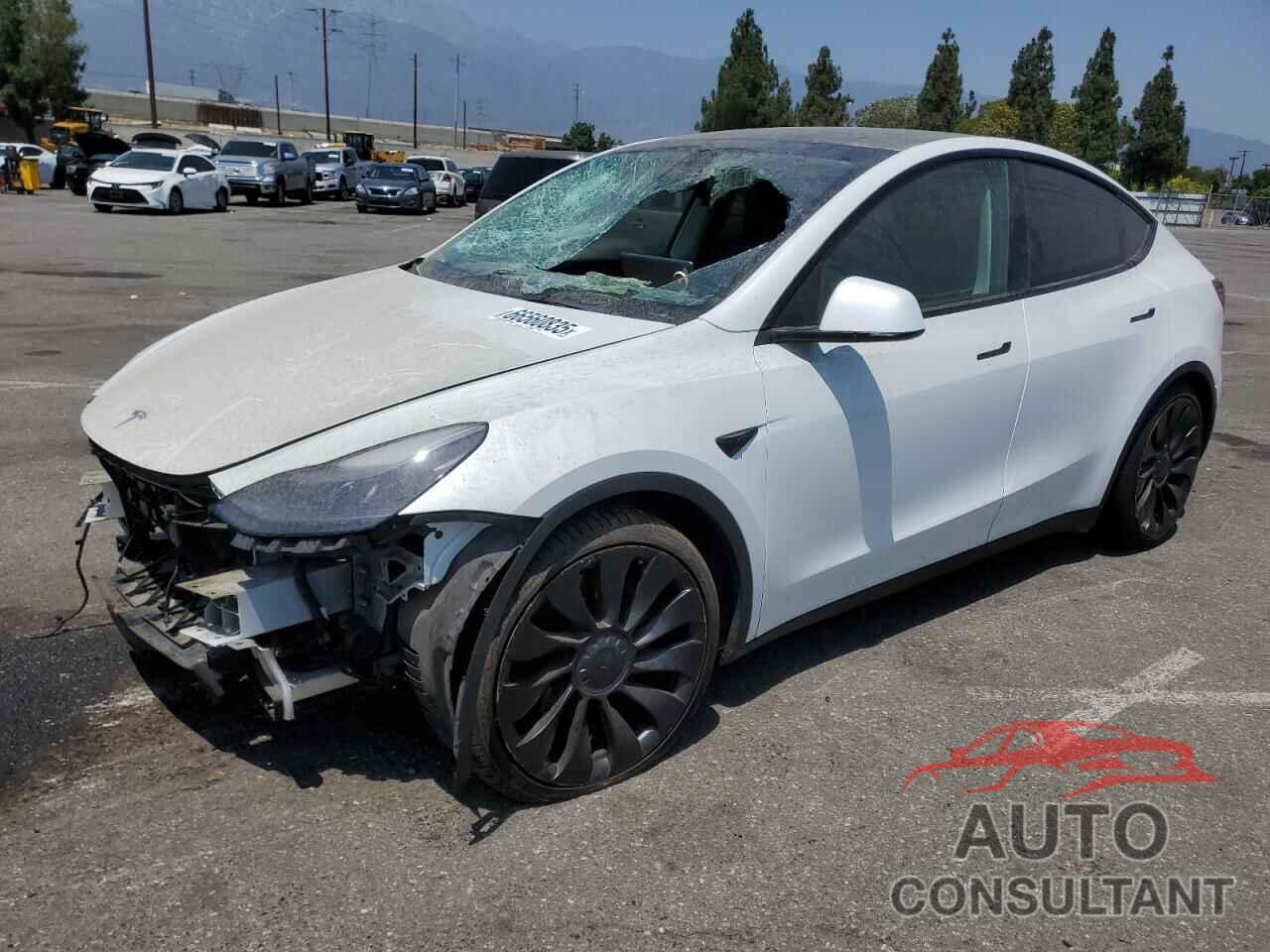 TESLA MODEL Y 2022 - 7SAYGDEFXNF446073