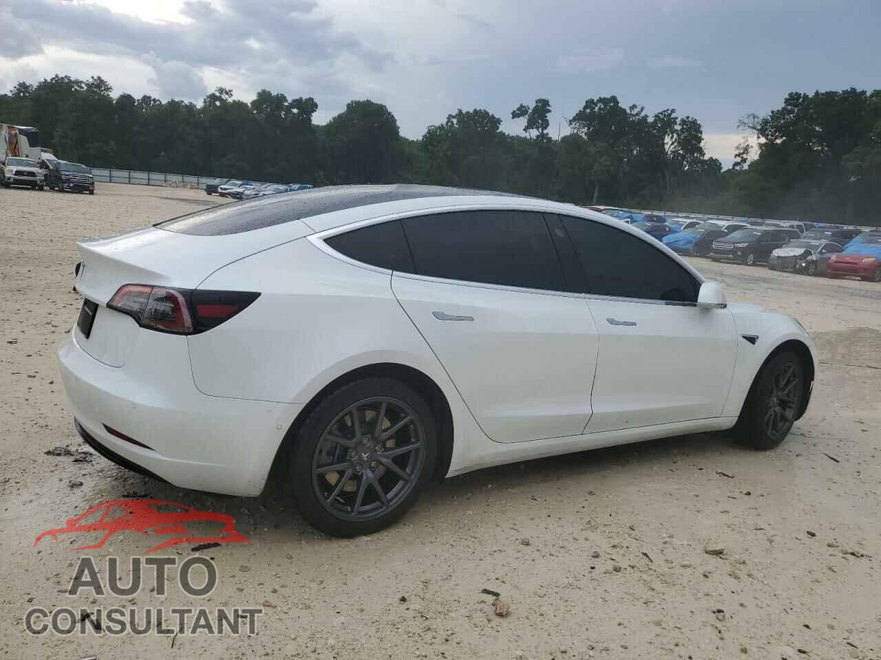TESLA MODEL 3 2020 - 5YJ3E1EA4LF737035