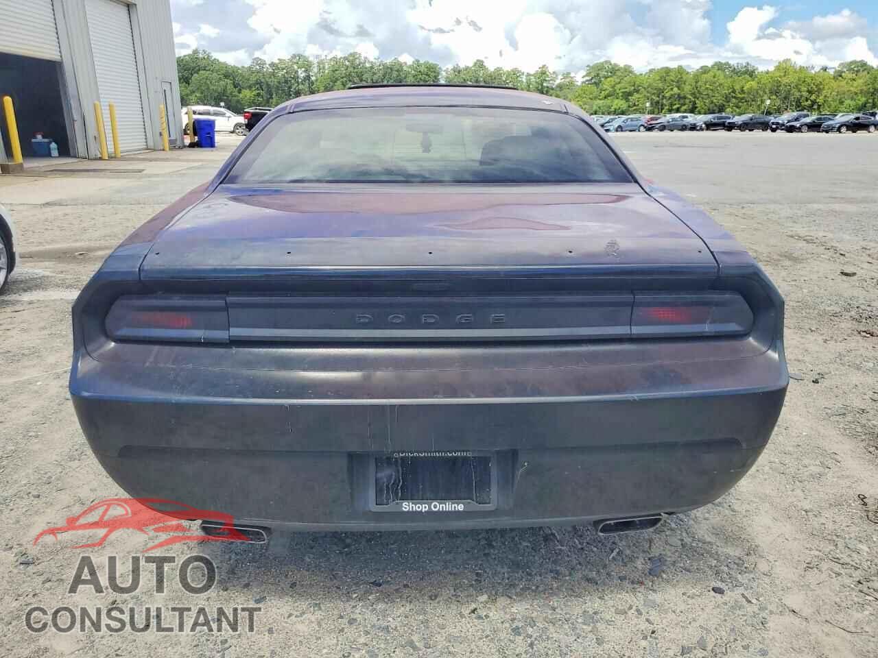 DODGE CHALLENGER 2014 - 2C3CDYAG0EH126880