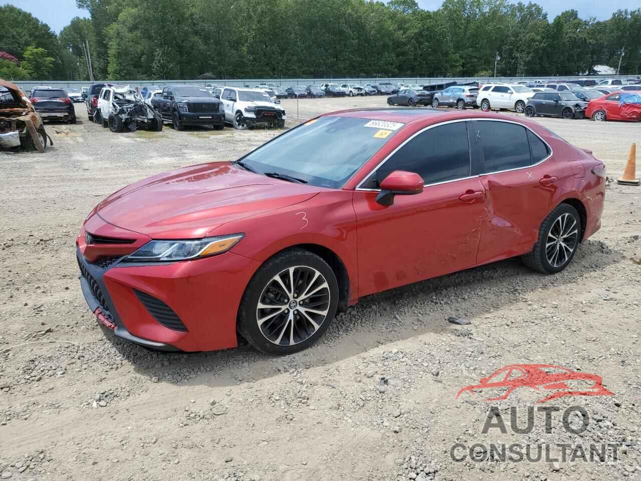 TOYOTA CAMRY 2019 - 4T1B11HK5KU161453