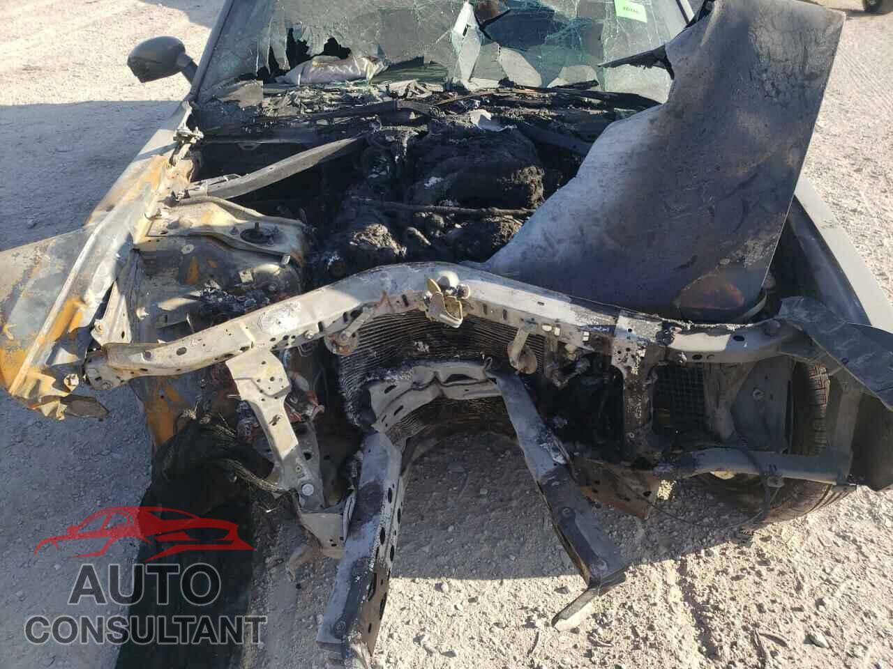 DODGE CHALLENGER 2019 - 2C3CDZAG1KH687736