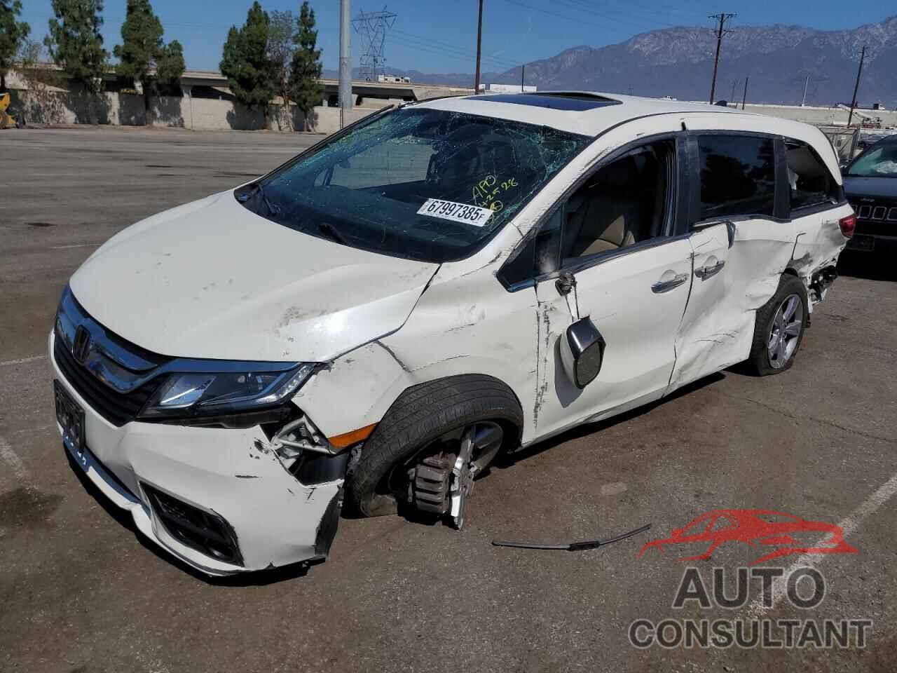 HONDA All Models 2019 - 5FNRL6H75KB019246