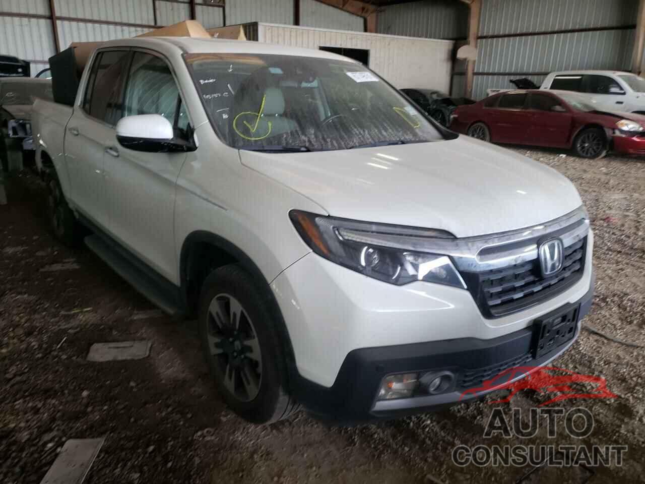 HONDA RIDGELINE 2019 - 5FPYK3F79KB021444