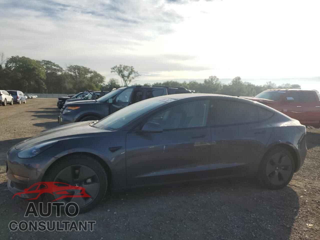 TESLA MODEL 3 2021 - 5YJ3E1EB8MF974654