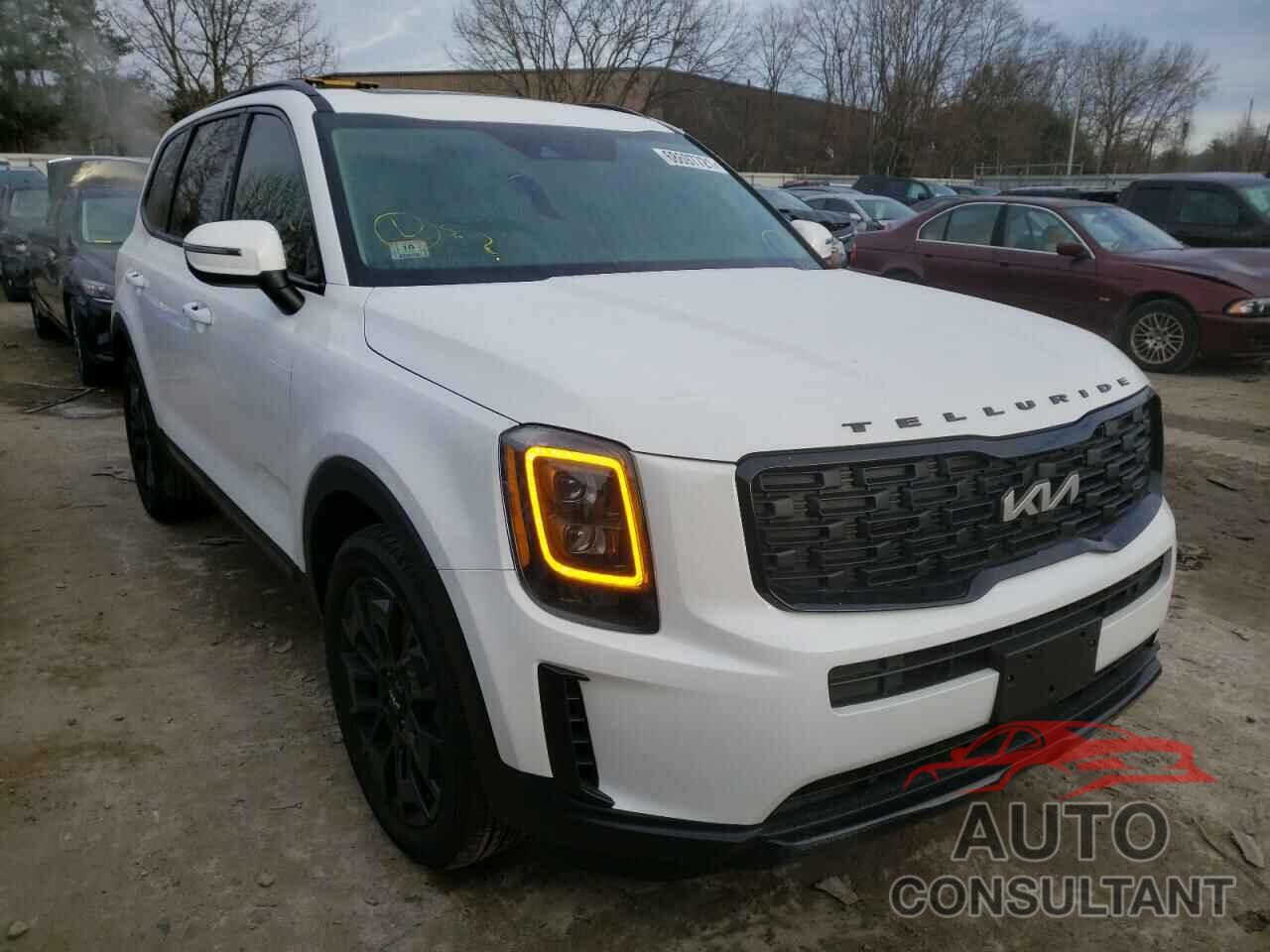 KIA TELLURIDE 2022 - 5XYP3DHC9NG215566