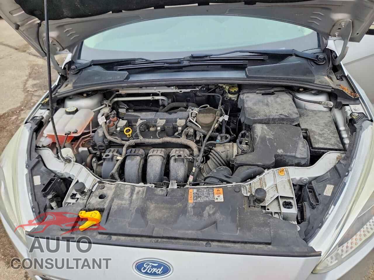 FORD FOCUS 2016 - 1FADP3F29GL251069