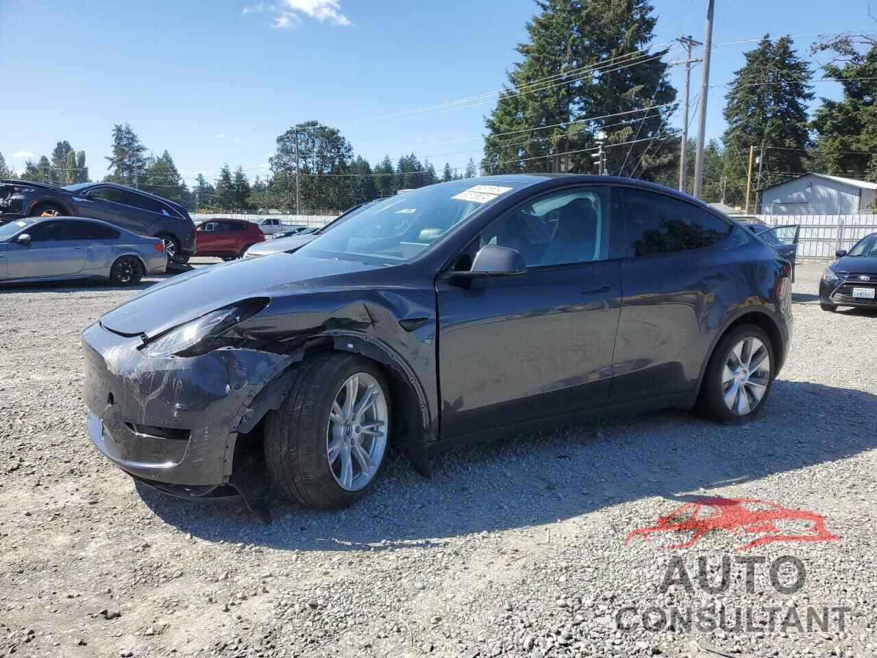 TESLA MODEL Y 2024 - 7SAYGDEE5RF071206